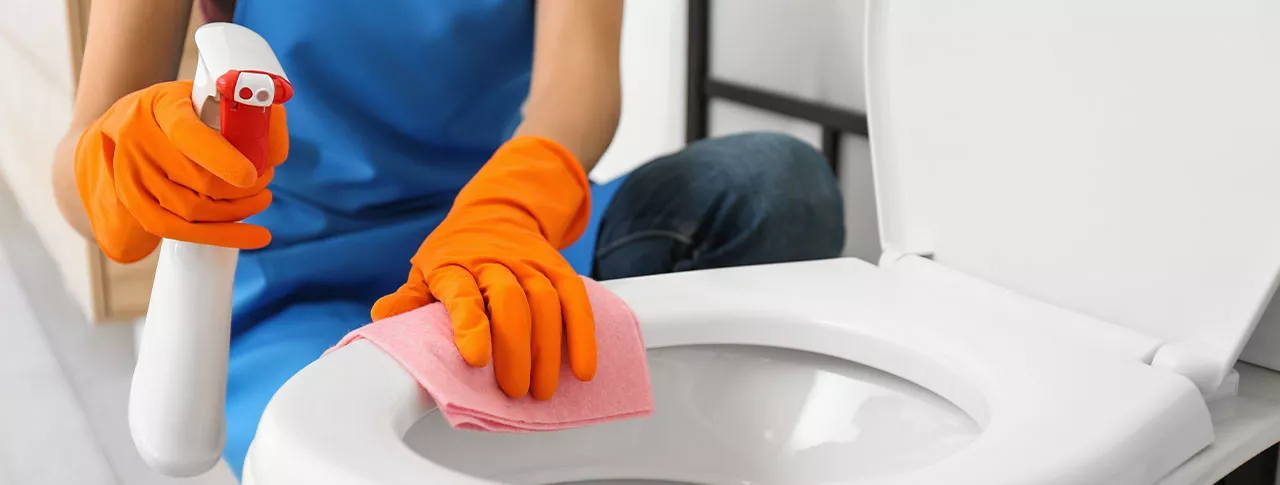 WC-Sitz: Pflege und Reinigung