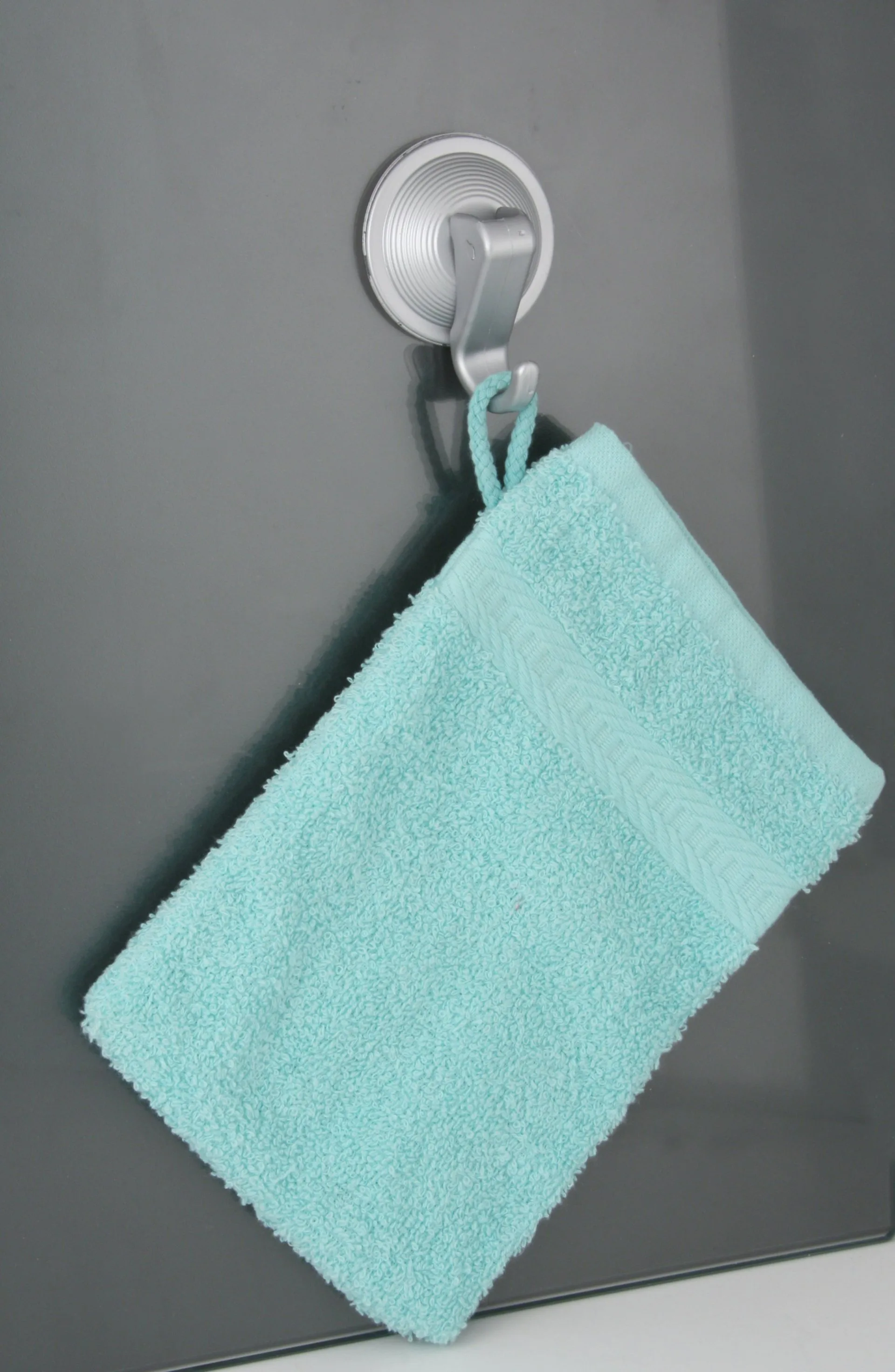 FACKELMANN Handtuchhaken Ø 5,5 cm, Silber