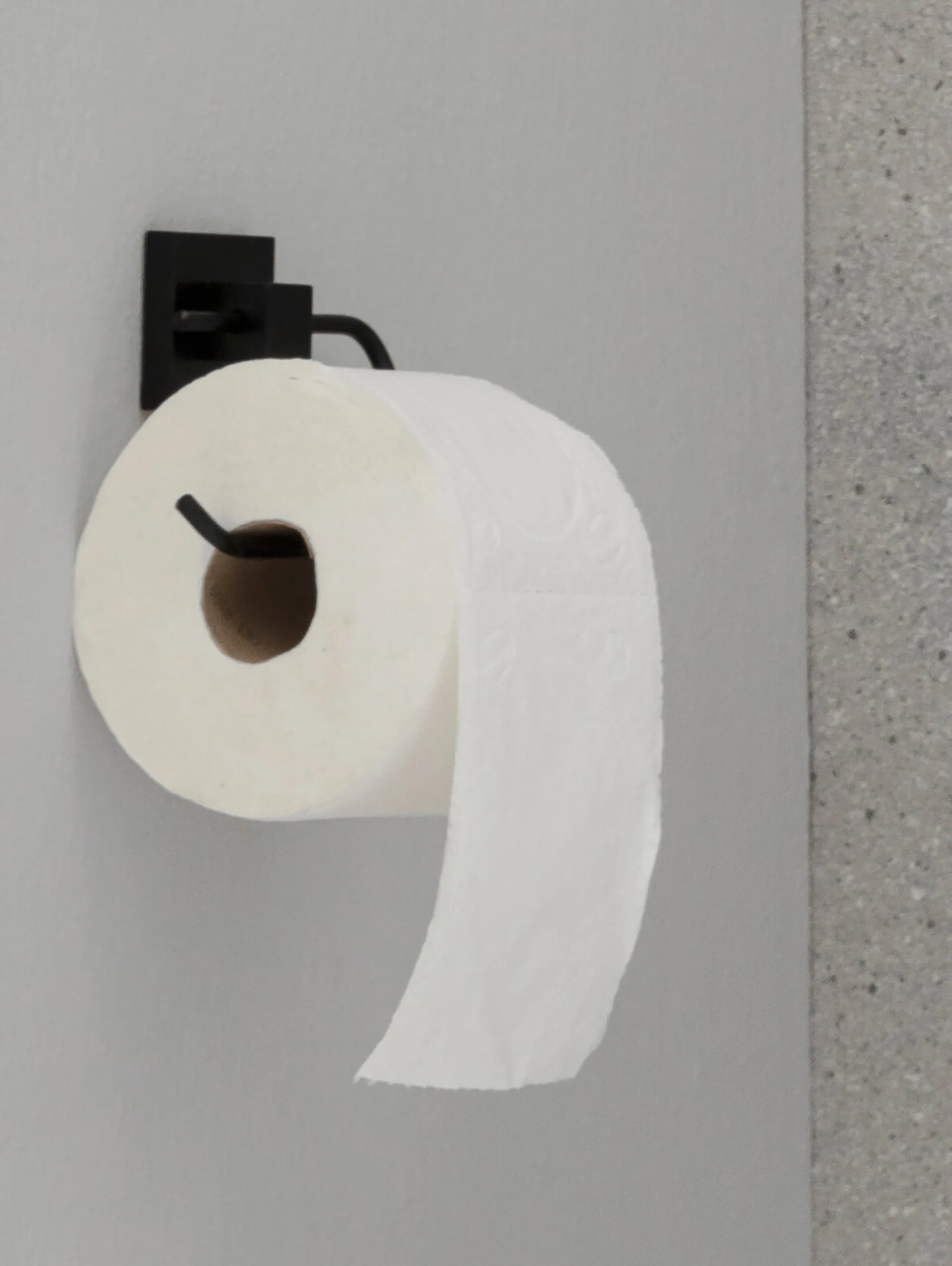 FACKELMANN NEW YORK Toilettenpapierhalter, Schwarz matt