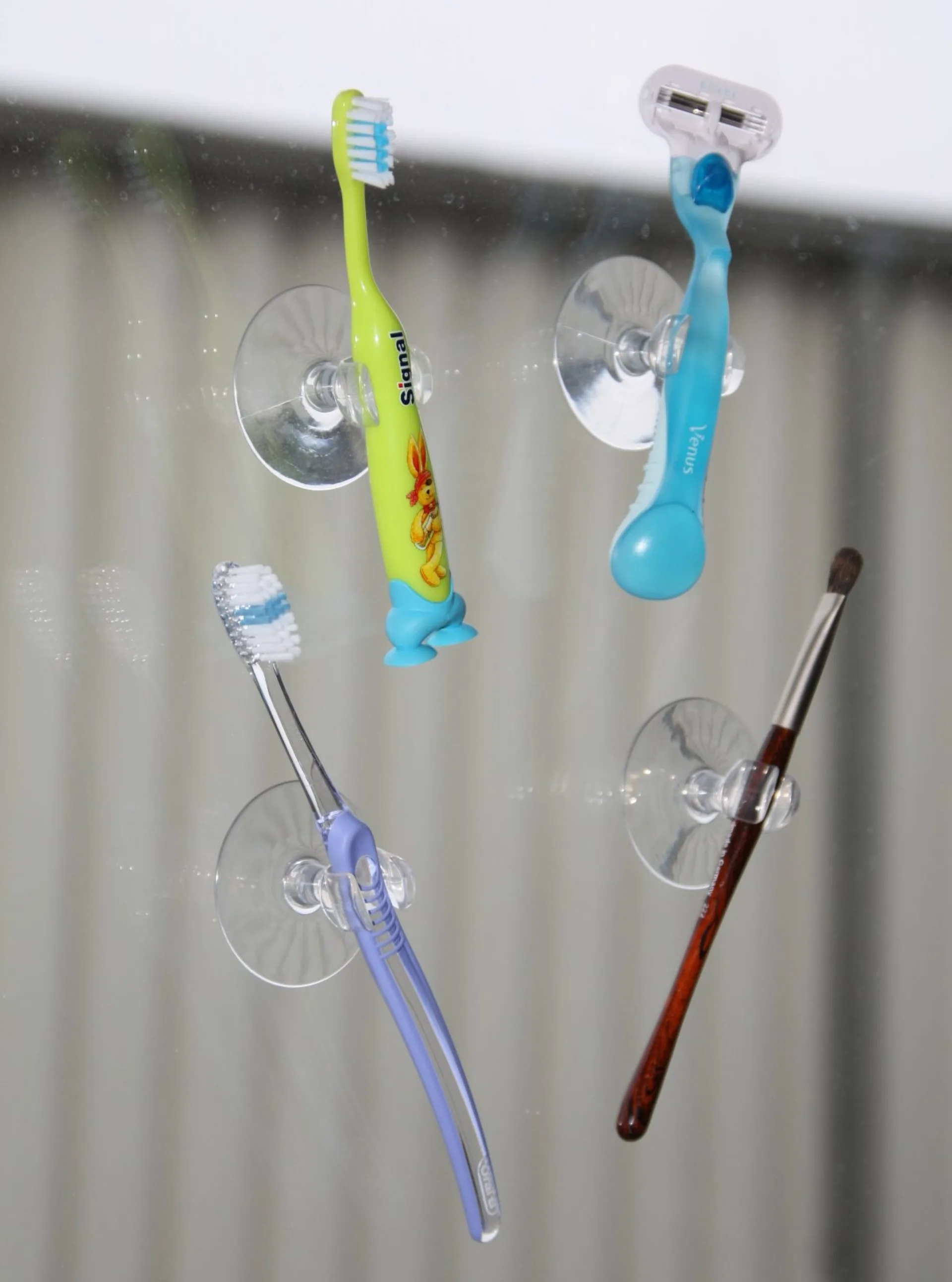 FACKELMANN Zahnbürstenhalter, Weiß/Blau/Grau, mit Saugnapf