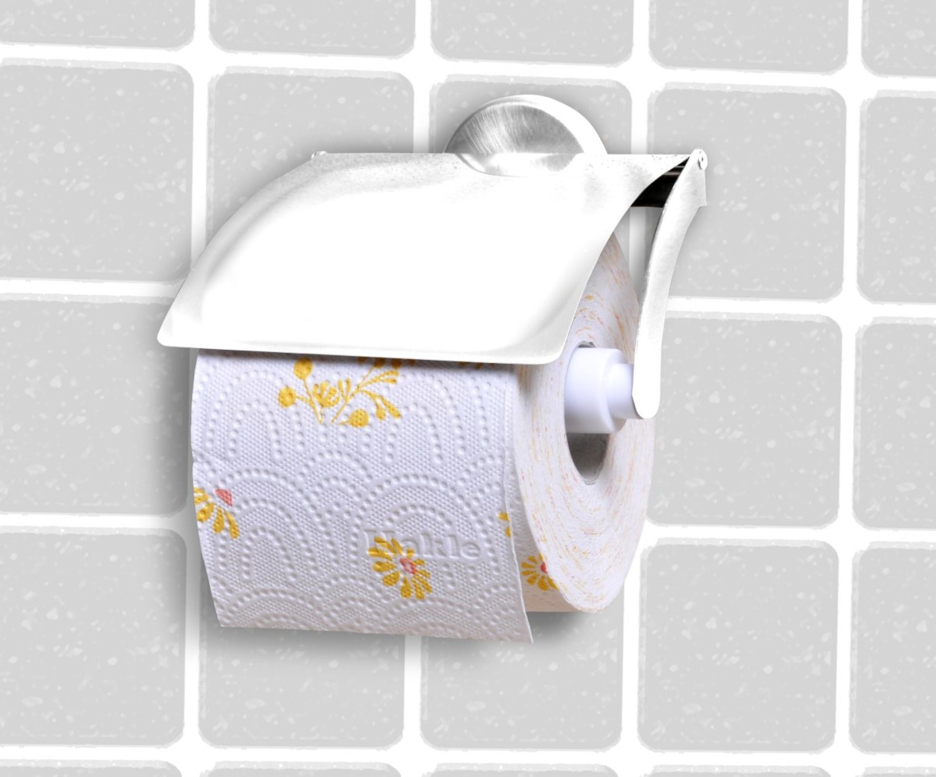 Fackelmann VISION Toilettenpapierhalter, Chrom glänzend