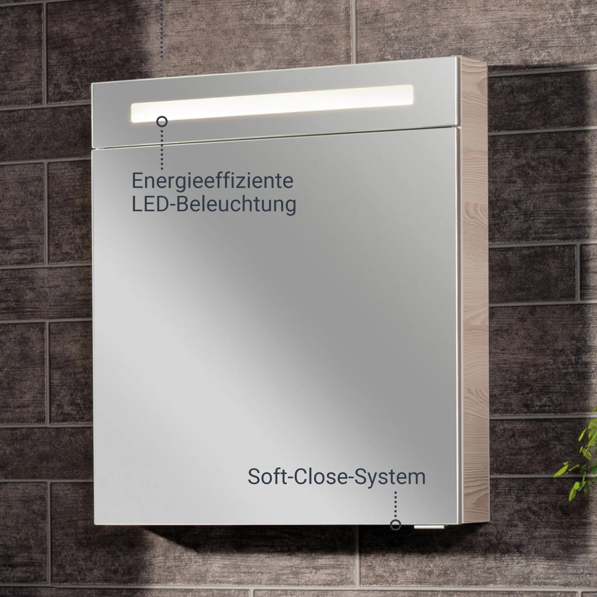 FACKELMANN B.CLEVER LED Spiegelschrank 60 cm breit, Braun hell